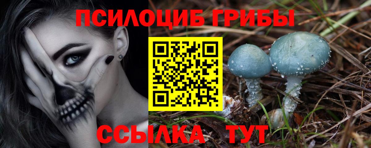 Элиста  Галлюциногенные грибы прущие грибы  Вход с VPN 